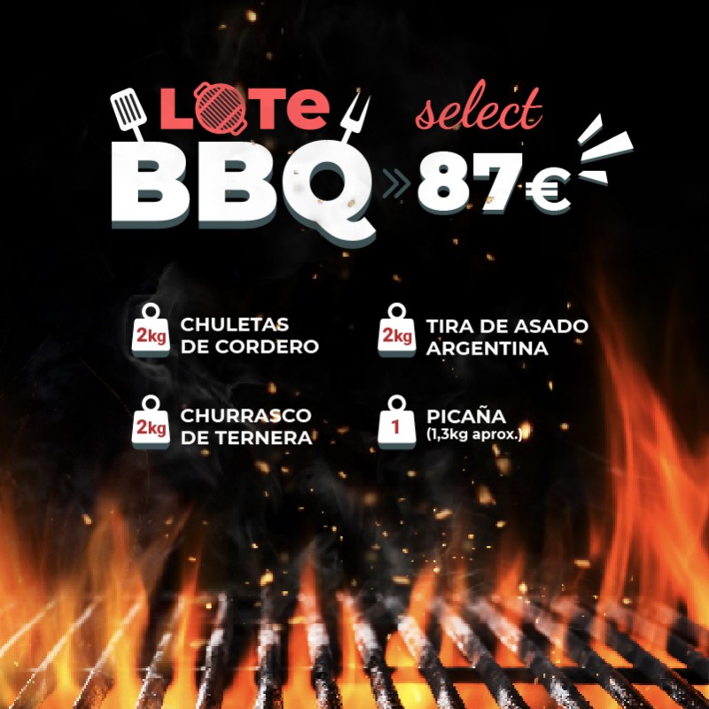 LOTE BBQ select