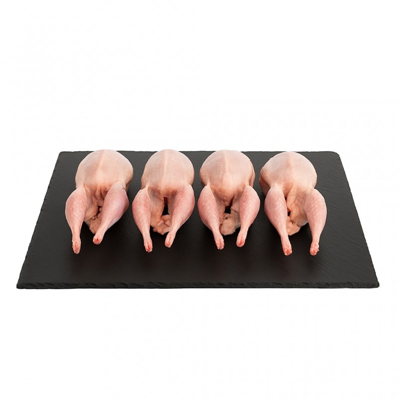 CODORNICES GIGANTES BANDEJA...